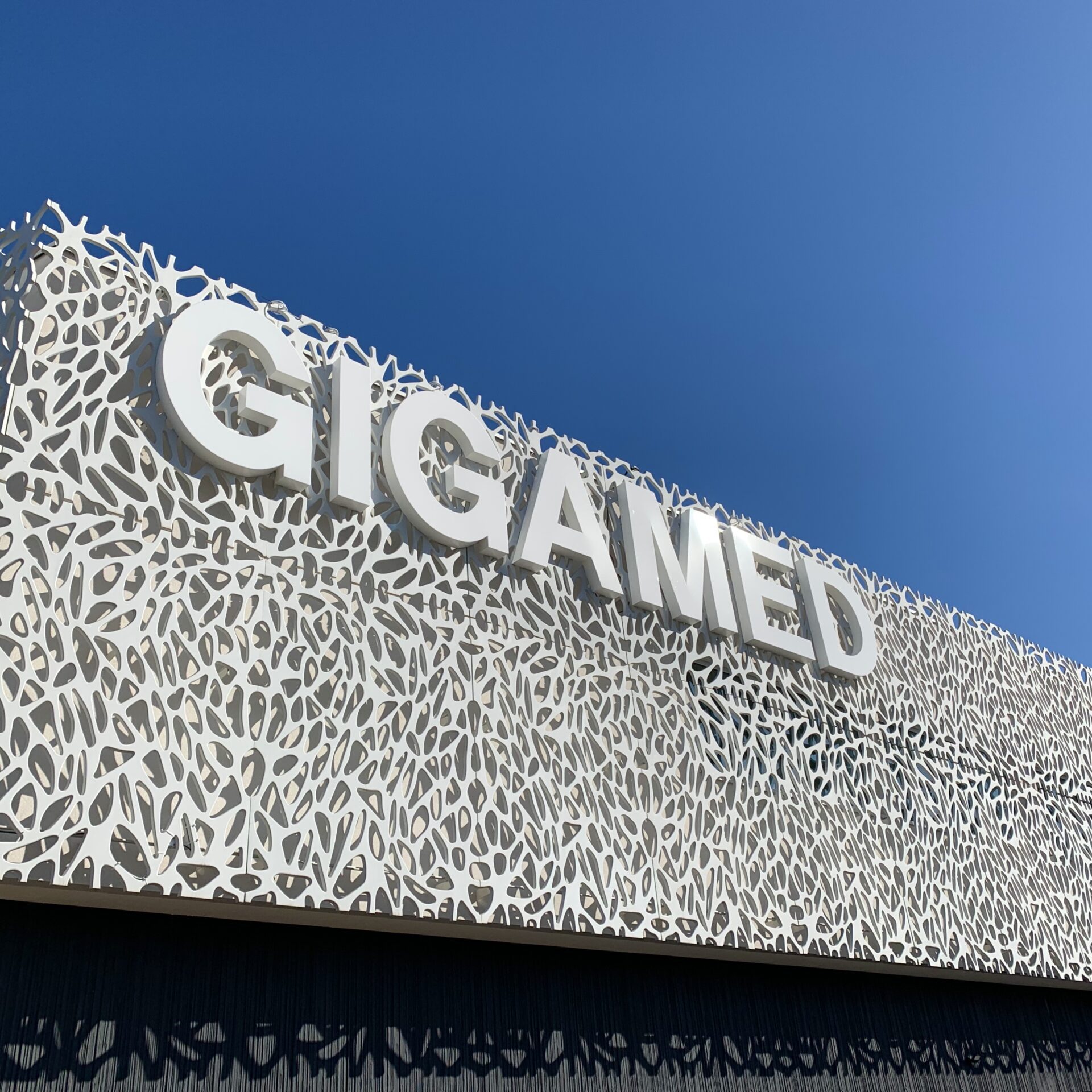 gigamed